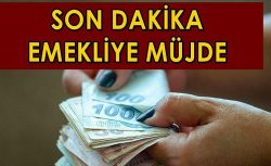 SSK ve diğer TÜM emekliler dikkat: 50 bin TL ödeme alınıyor